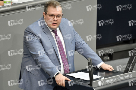 219. Sitzung des Deutschen Bundestages in Berlin
