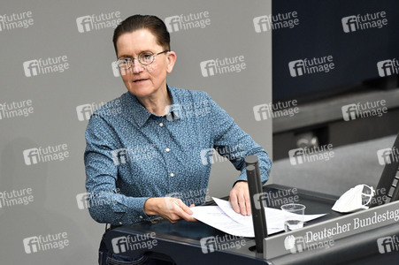 219. Sitzung des Deutschen Bundestages in Berlin