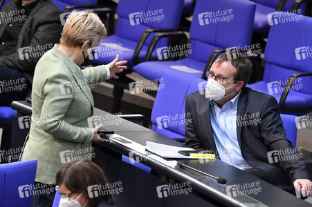 219. Sitzung des Deutschen Bundestages in Berlin