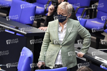 219. Sitzung des Deutschen Bundestages in Berlin