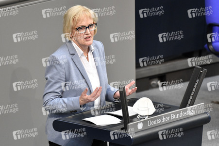 219. Sitzung des Deutschen Bundestages in Berlin