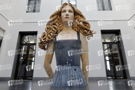 1002. Plenarsitzung des Bundesrates in Berlin