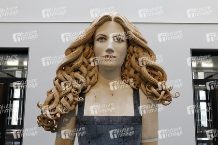 1002. Plenarsitzung des Bundesrates in Berlin