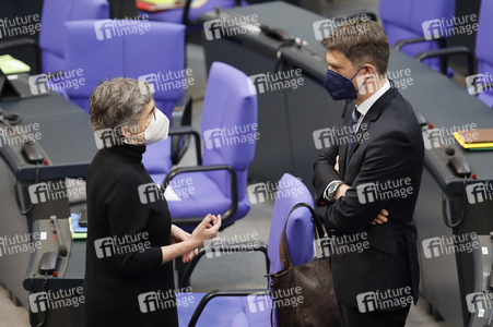 219. Sitzung des Deutschen Bundestages in Berlin