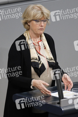 219. Sitzung des Deutschen Bundestages in Berlin