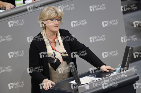 219. Sitzung des Deutschen Bundestages in Berlin