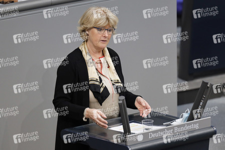 219. Sitzung des Deutschen Bundestages in Berlin