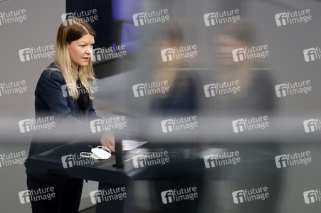 219. Sitzung des Deutschen Bundestages in Berlin