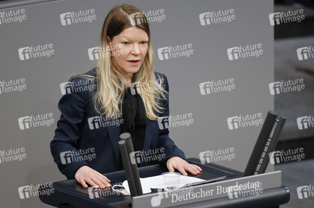 219. Sitzung des Deutschen Bundestages in Berlin