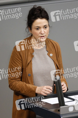 219. Sitzung des Deutschen Bundestages in Berlin