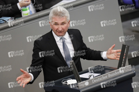 219. Sitzung des Deutschen Bundestages in Berlin