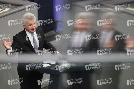 219. Sitzung des Deutschen Bundestages in Berlin