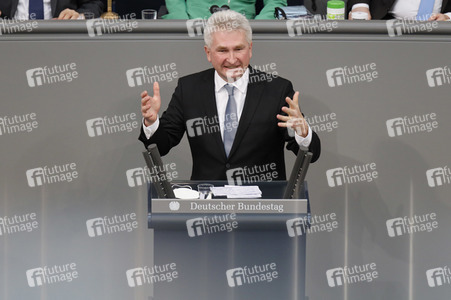 219. Sitzung des Deutschen Bundestages in Berlin