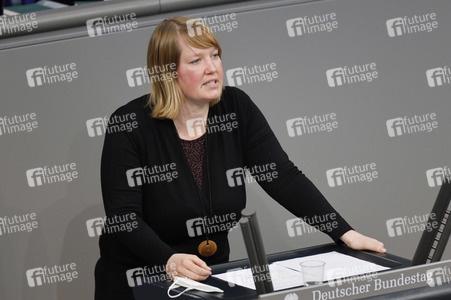 219. Sitzung des Deutschen Bundestages in Berlin