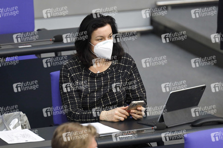 219. Sitzung des Deutschen Bundestages in Berlin