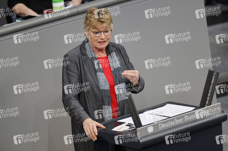 219. Sitzung des Deutschen Bundestages in Berlin