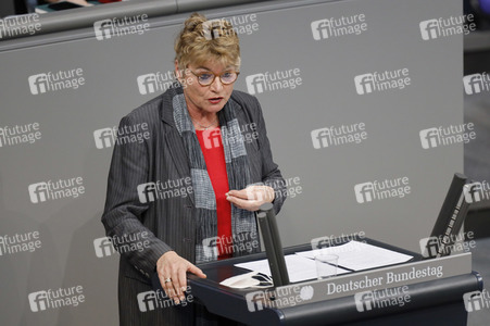 219. Sitzung des Deutschen Bundestages in Berlin