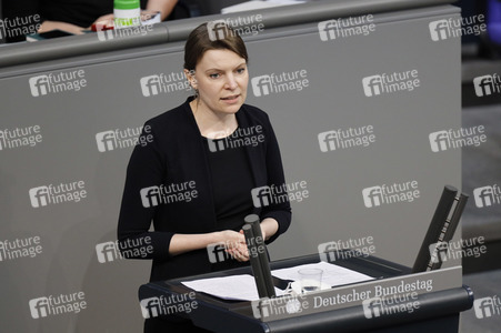 219. Sitzung des Deutschen Bundestages in Berlin