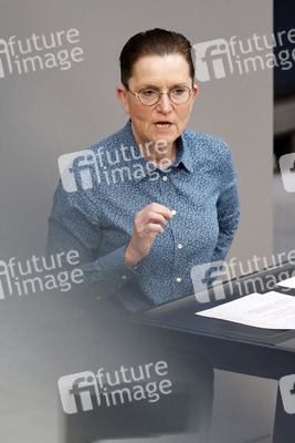 219. Sitzung des Deutschen Bundestages in Berlin