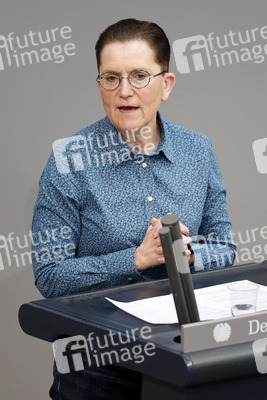 219. Sitzung des Deutschen Bundestages in Berlin