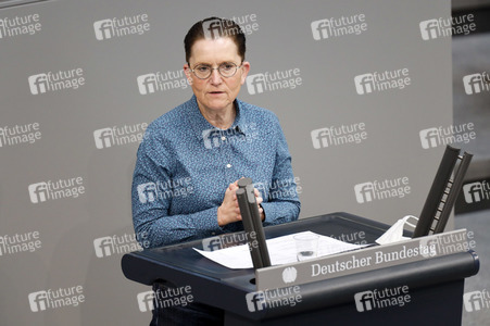 219. Sitzung des Deutschen Bundestages in Berlin