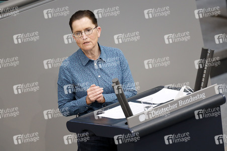 219. Sitzung des Deutschen Bundestages in Berlin