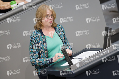 219. Sitzung des Deutschen Bundestages in Berlin