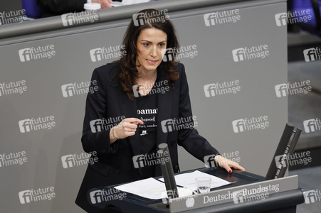 219. Sitzung des Deutschen Bundestages in Berlin