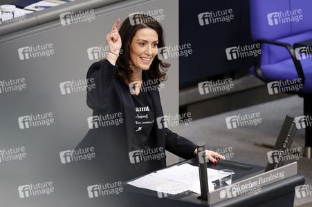 219. Sitzung des Deutschen Bundestages in Berlin