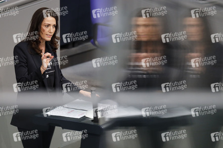 219. Sitzung des Deutschen Bundestages in Berlin