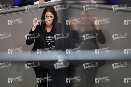 219. Sitzung des Deutschen Bundestages in Berlin