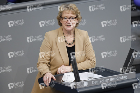 219. Sitzung des Deutschen Bundestages in Berlin