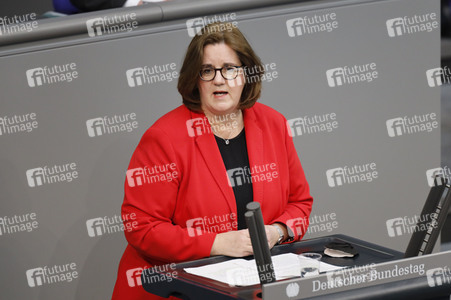 219. Sitzung des Deutschen Bundestages in Berlin