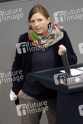 219. Sitzung des Deutschen Bundestages in Berlin