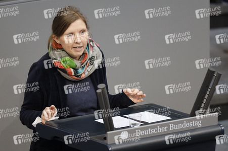 219. Sitzung des Deutschen Bundestages in Berlin