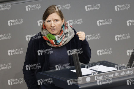 219. Sitzung des Deutschen Bundestages in Berlin