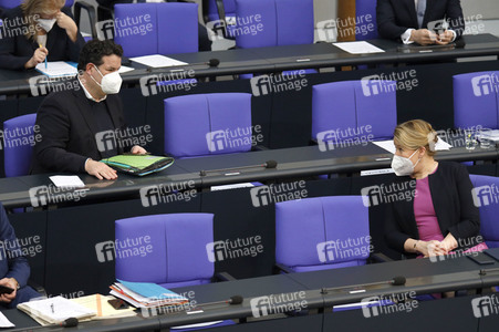 219. Sitzung des Deutschen Bundestages in Berlin