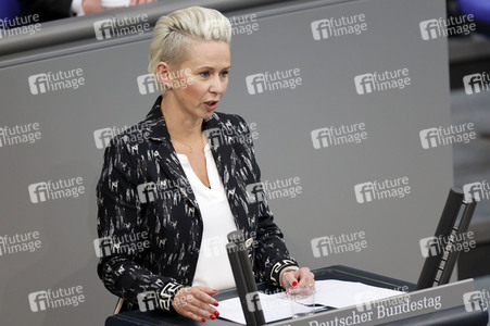 219. Sitzung des Deutschen Bundestages in Berlin