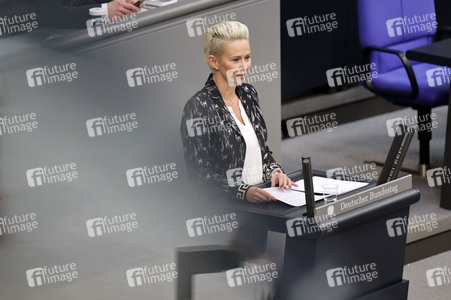 219. Sitzung des Deutschen Bundestages in Berlin