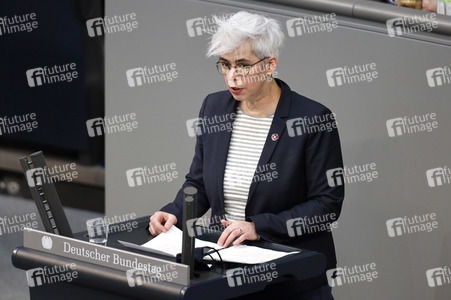 219. Sitzung des Deutschen Bundestages in Berlin