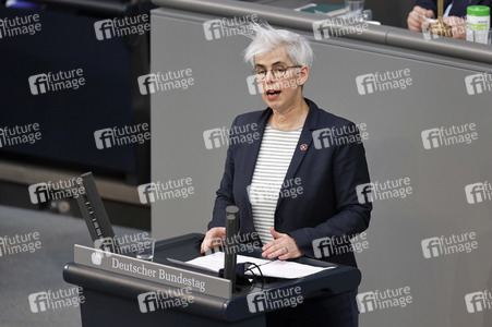 219. Sitzung des Deutschen Bundestages in Berlin