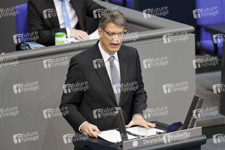 219. Sitzung des Deutschen Bundestages in Berlin