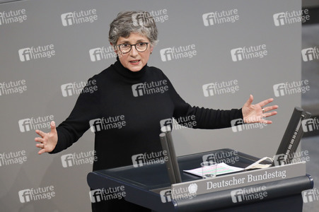 219. Sitzung des Deutschen Bundestages in Berlin