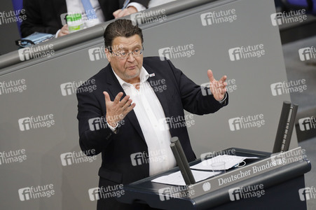 219. Sitzung des Deutschen Bundestages in Berlin