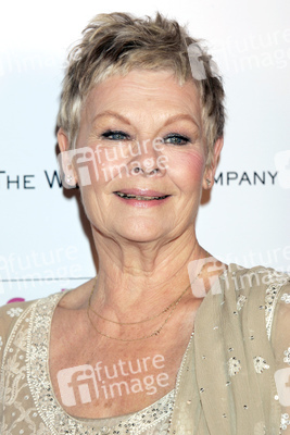 Filmpremiere 'Lady Henderson präsentiert' in Beverly Hills