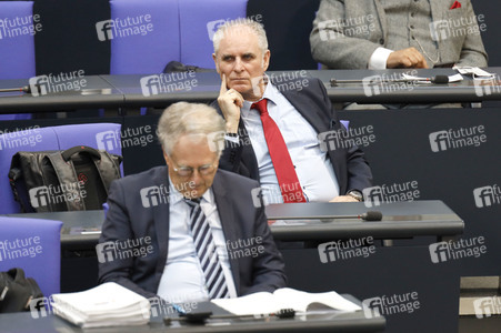 217. Sitzung des Deutschen Bundestages in Berlin