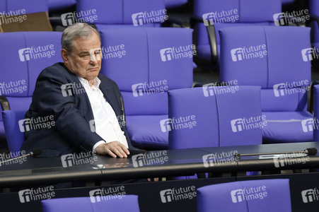 217. Sitzung des Deutschen Bundestages in Berlin