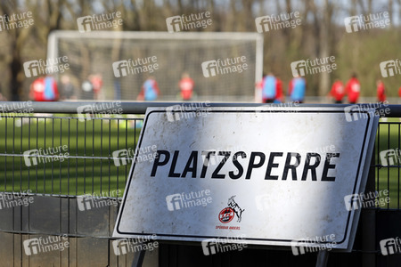 Training des 1. FC Köln
