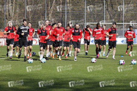 Training des 1. FC Köln