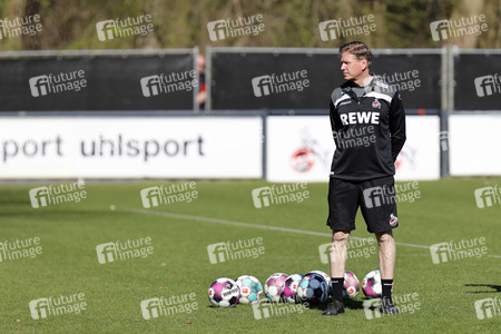 Training des 1. FC Köln